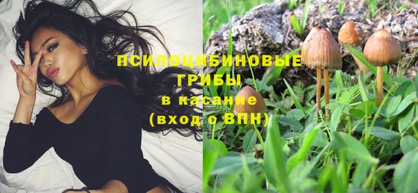 гидропоника Алексеевка