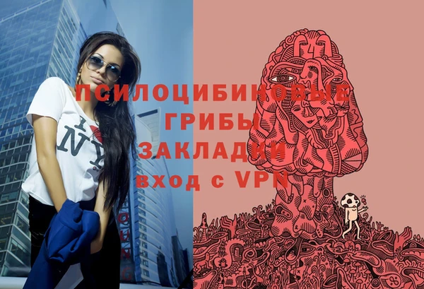 не бодяженный Абаза